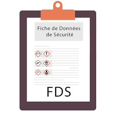 sécurité des données pdf