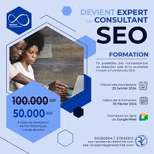 formation consultant seo