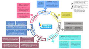 système de gestion intégré