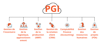 système intégré de gestion